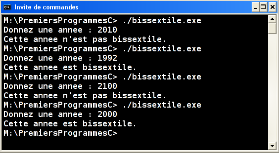Exécution bissextile.exe