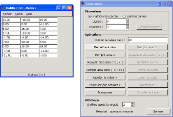 Capture Utilitaire Matrice