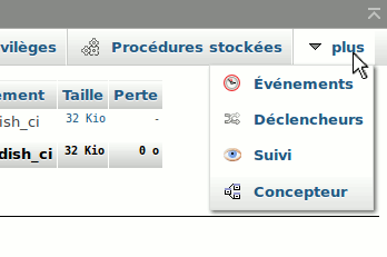 Accès à l'onglet Concepteur après avoir déroulé le menu « plus »