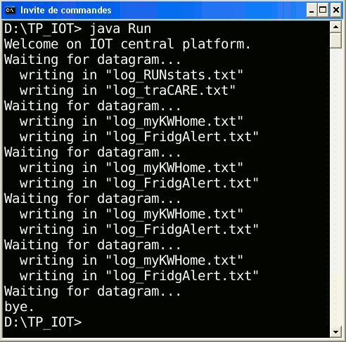 La classe principale Run est appelée depuis un terminal avec avec la machine virtuelle Java. Le programme affiche un message de bienvenue, puis des messages d'attente et des message qui avertissent des écrires dans les fichiers de journalisation.